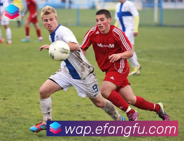 云开全站app登录网页入口品牌故事