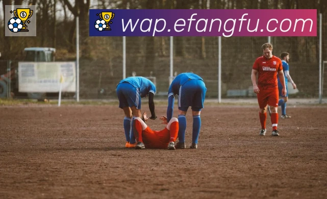 云开全站app登录网页入口服务体系