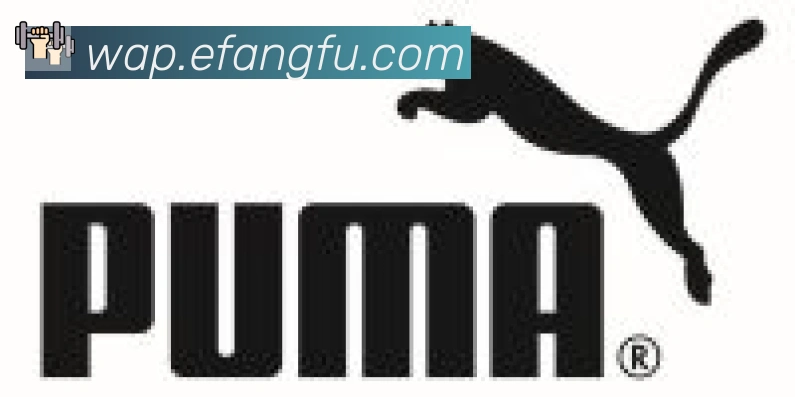 云开全站app登录网页入口合作伙伴